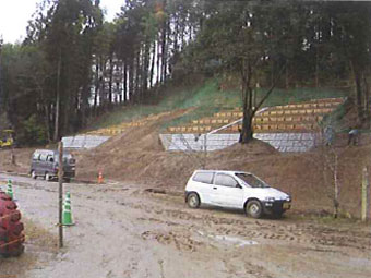 ������ăp�g���[���������{
