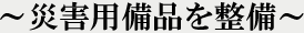 �ЊQ�p���i�𐮔�